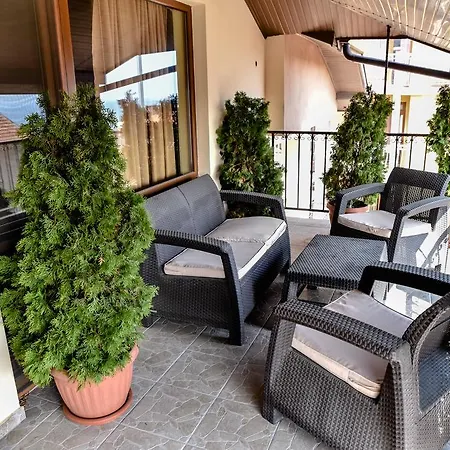 димитър жеков *