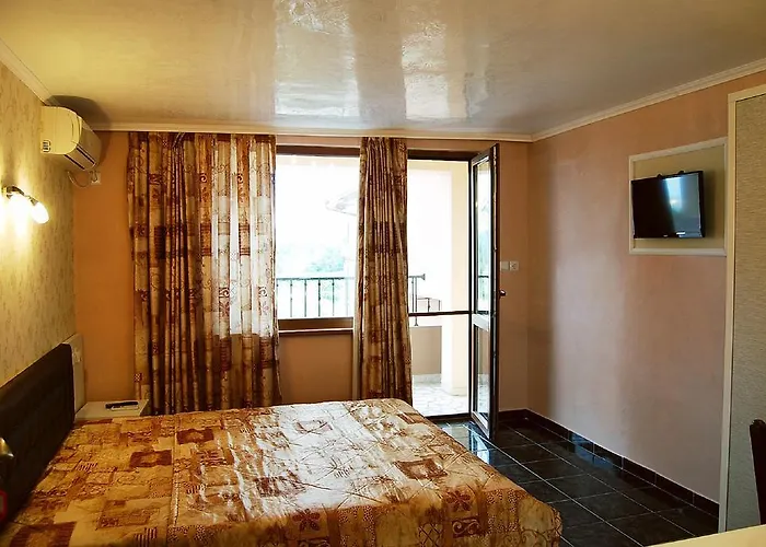 димитър жеков Обзор