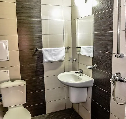 димитър жеков *