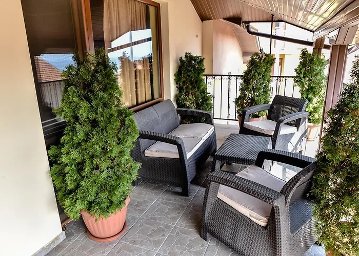 димитър жеков *